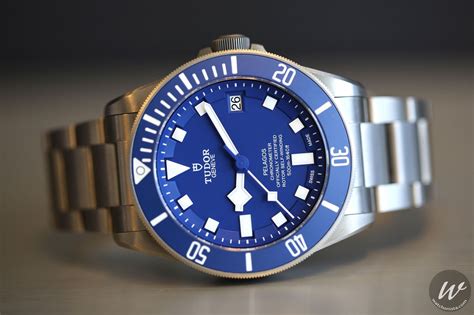 tudor blue face watch.